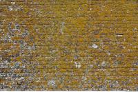 wall bricks overgrown moss 0005